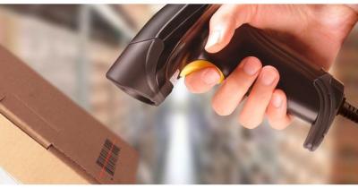 ������ ����� ����