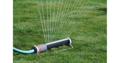 ������� ������ ���� 