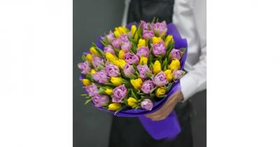 ����� �� ���� ������� ���������