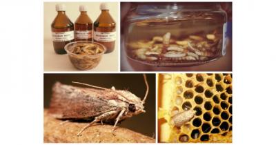 �������� �������� ����