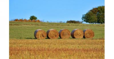 �������� ��������