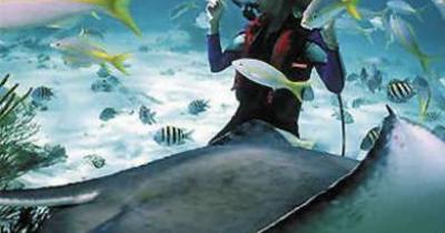 ����������� �������