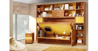 ������ �����������