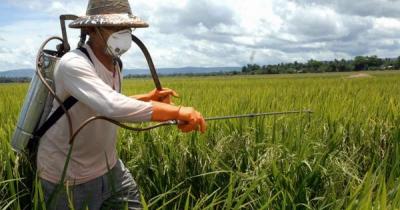 ��� ����� ���������