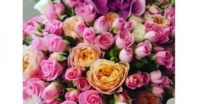 ����� �� ���� ��������