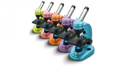 ���������� �������