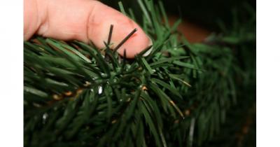 ����� ����