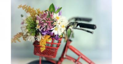 �������� ������