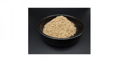 ����� �����������