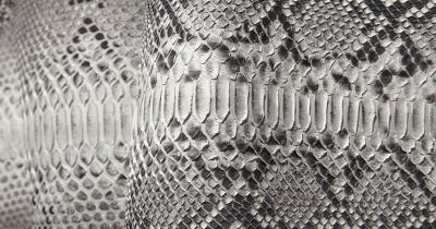 ���� - �������� ������������ �������� ��� ������ ������