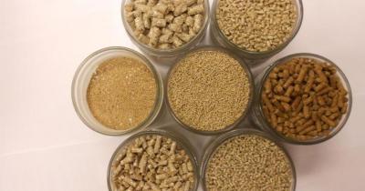 ��� ����� ���������?