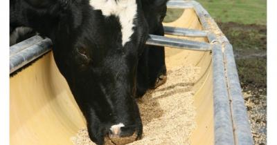 ����� � �����