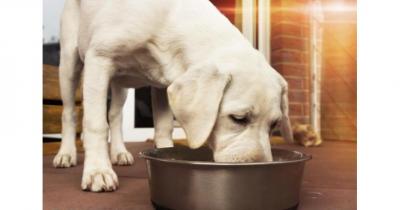 ����� ���� ��� �����