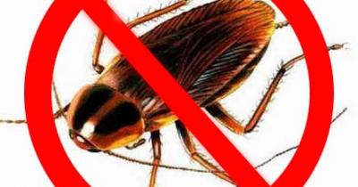 ��� ������������ ����� �����������