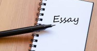 What is an essay and how to write it?