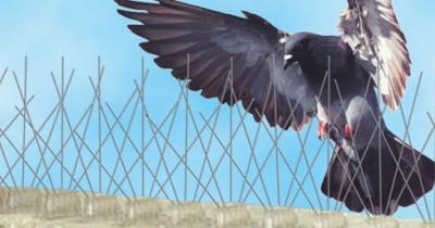 ������ �� ����