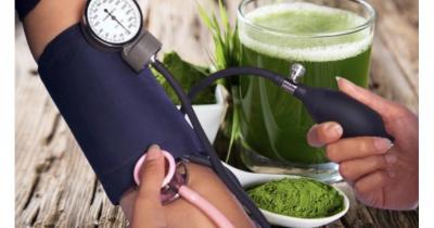 ������������ ��������