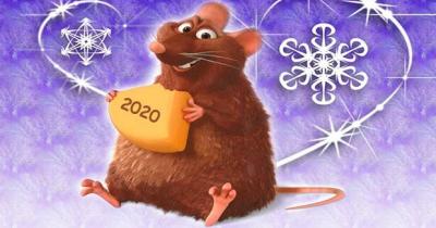 2020 год крысы