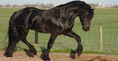 ������ � ������� �������