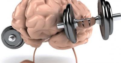 ������ ����� �������