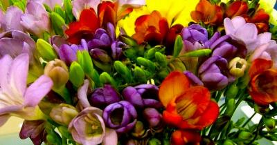 �����: ������������� ������ �������� ���� �������