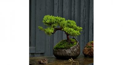 �������� ������