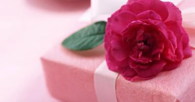 ���� ���������� � ����� �������