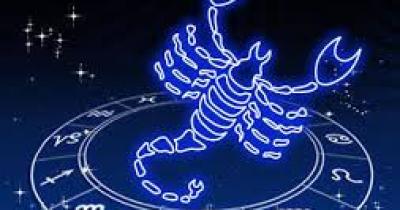 �������� �� 2019 ��: �������