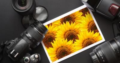 ��������� � ������ ���������� ����������