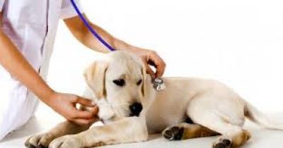 ��� ��������� ������� ������������ �������?