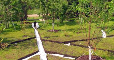 ������ �������: ���� � ��������������