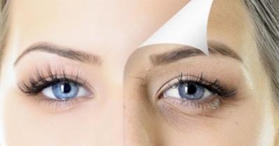 ���� ������ ����