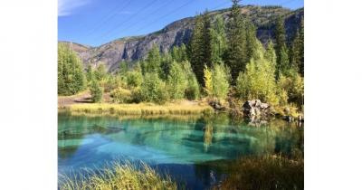 ����� �� �����