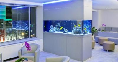 ��������� � ���������