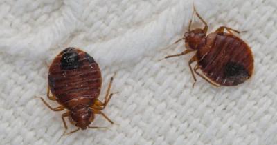 ���������� �����