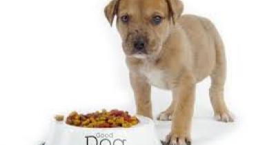 ���� ��� �����: ��� �������?