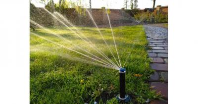 �������������� �����