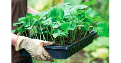 ���������� ����� ��������