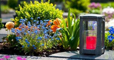 ���� �� �������