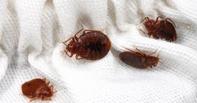 ����������� ������