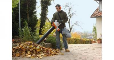 ����� ��� �������