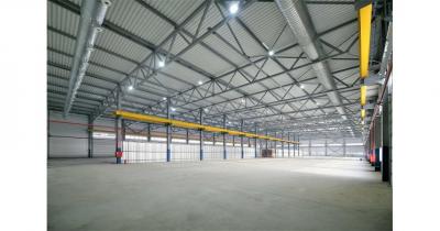 ������ ������