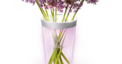 ���� � ���������