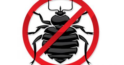 ������ ����������� ������