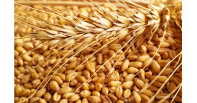 ������ �������