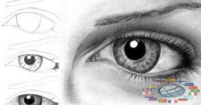 �������������� ��������� ��� ���������