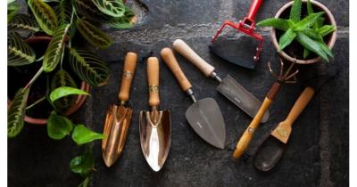 ������� �����������