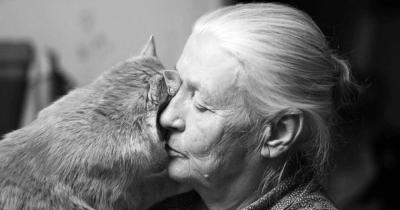 ������� ��� ��� �������