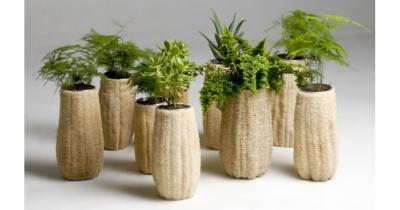 ������� ������ ��� ������