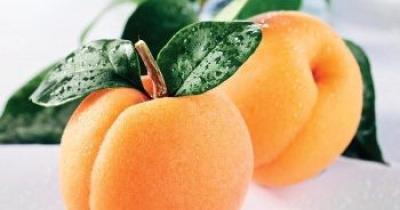 Абрикос - полезный фрукт